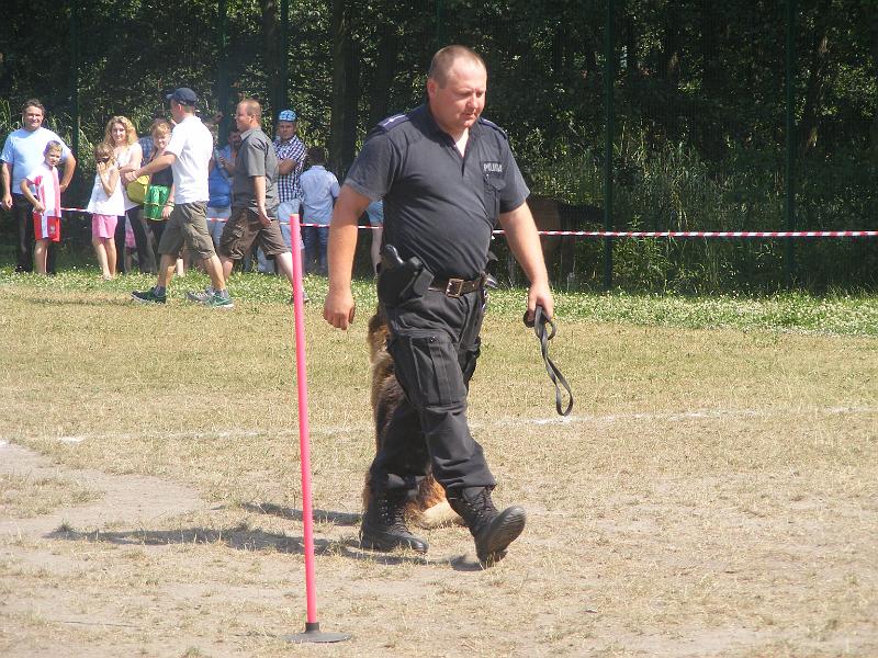 01.07.12r. FESTYN 118